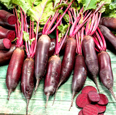 Cylindra Beet Seeds 100+ SEEDS NON-GMO –BUY 4 ITEMS FREE SHIPPING