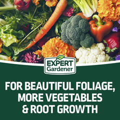 Expert Gardener All Purpose Plant Fertilizer, 10-10-10 Fertilizer, 40 Lb.