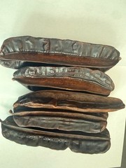 Prekese (Aidan Fruit) whole dried fruit. 5 Whole dried fruits