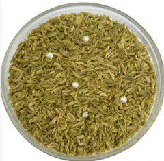 Roasted Saunf Indian Fennel Seeds After-Meal Mouth Freshener Fast Ship