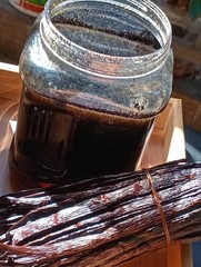 Organic vanilla beans, Grade A. Plump, moist with 30-35% moisture content