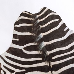 Zebra Print Area Rug Faux Skin Cowhide Animal Design Mat Faux Suede Indoor Floor