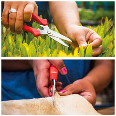 Carbon Steel Blade Garden Pruning Shears Multi Purpose Heavy Duty Wire Cable