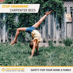 Carpenter Bee Trap – Wood Boring Bee Trap – Unique Catch & Release Outdoor Carpe