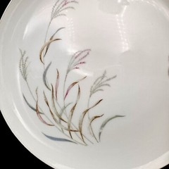 Norcrest AUTUMN BREEZE 10.25” Dinner Plates SET/4 Porcelain Silver Rim VTG Japan