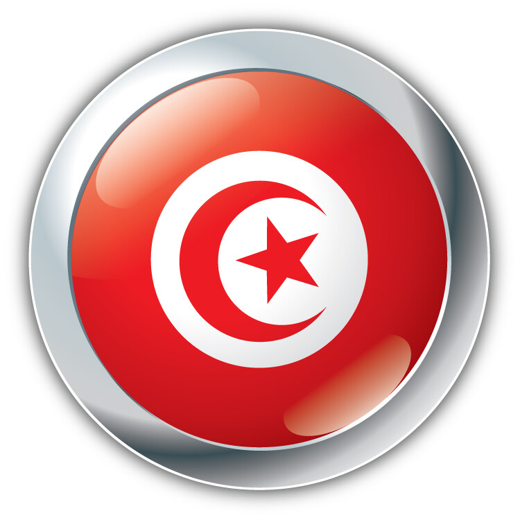 Tunisia Flag Glossy Silver Label Car Bumper Sticker Decal