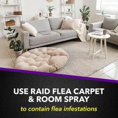 Raid Flea Killer Carpet & Room Spray, Kills hatching 16 Ounce (Pack of 1)