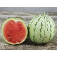 Dixie Queen Watermelon Seeds, Cuban Queen, NON-GMO, Crimson, Heirloom, FREE SHIP