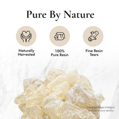 White Copal Resin – 100% Pure Natural Incense Gum Dammar Granular Rock Grade A