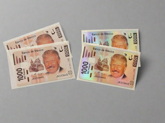 Trump 2024 Credit Card Skin, Debit Card Covering (2 Skins)