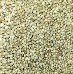 Premium Kosher Hemp Seed Nuts – 100% Food Grade & Nutrient-Rich!