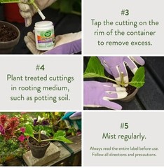 Garden Safe Take Root Rooting Hormone, 2-Ounce