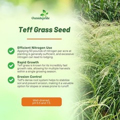 5 LBS – Coated Teff Annual Pasture Grass Seed For Cattle, Horses, & Livestock