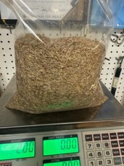 Beacon’s Contractor Mix Grass Seed – 80/20 Annual Ryegrass & Tall Fescue