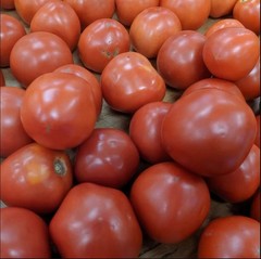 Tomato Powder-than using our Tomato Powder processed from harvest red tomatoes.