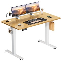 Electric Standing Desk – 40/48/55/63 x 24 inch Adjustable Sit to Stand Up Desk