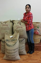 100% HAWAIIAN – KONA COFFEE BEANS PEABERRY DARK ROASTED 1 POUND BAG