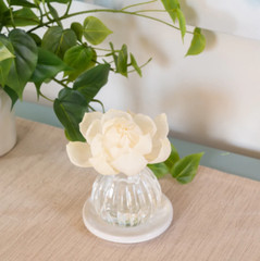 GREENLEAF Flower Diffuser – Diffuses 30 Days – Made in The USA – Cashmere Kiss