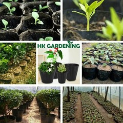 100 pc 8cmx8cm Plant Flower Pots Outdoor Living Garden Nursery Raising Bag