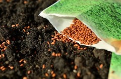 1lb ORIGINAL SUPER SOIL CONCENTRATE for AUTOFLOWER by NATURE’S LIVING SOIL 1lb