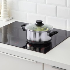 Stainless Steel Pot with Glass Lid, 2.8 Liter Saucepan, Induction, Gas & Eletric