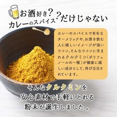 Okinawa Turmeric Powder 100g Natural Spice Japan Additive Free