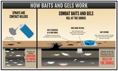 MAXFORCE Bayer ANT Killer — Gel Bait and Arenas/Stations **SAME DAY SHIPPING**