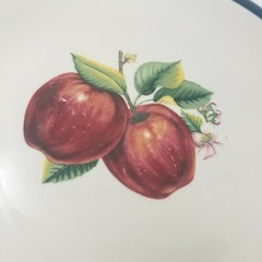 Apple Blossom Casuals China Pearl (4) Dinner 10.25″ and (4) Salad Plates 7.75″