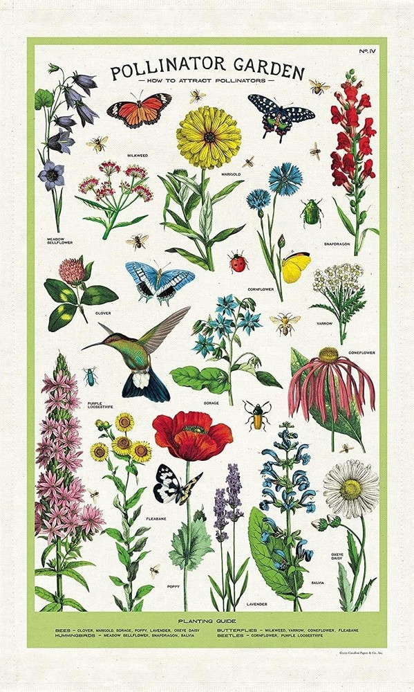 Cavallini & Co. Pollinator Garden Vintage Tea Towel 100% Natural Cotton NEW!!!