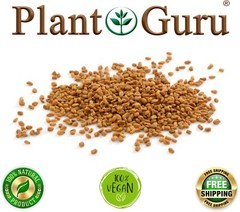Fenugreek Seeds Whole 2.5 lbs. Jar Bulk Trigonella Foenum Graecum Methi Seed