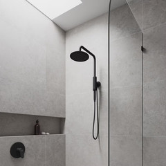 Aquarius 1-Spray Setting 1.8 GPM Dual Wall Mounted 8 In. Fixed and Handheld Show