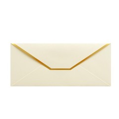 Money Envelopes – V-Flap Foil Border Luxury Gifting Money Envelopes 3 x 7 – P…