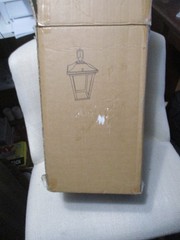 12.5 in. Modern Black Indoor/Outdoor Small Pendant 1-Light Clear Glass Lantern