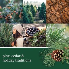 Yankee Candle Smart Car Vent Clip Air Freshener 30 days, Balsam & Cedar, 2 Pack