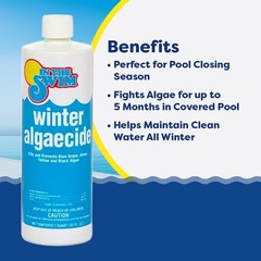 In The Swim Winter Algaecide for Swimming Pools – Winterizing Pool Algaecide