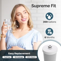 Fit for Frigidaire PureSource WF1CB RG100 NGRG2000 Icepure Water Filter 4 Pack
