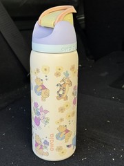 Owala Winnie the Pooh Disney Owala Free Sip 32oz