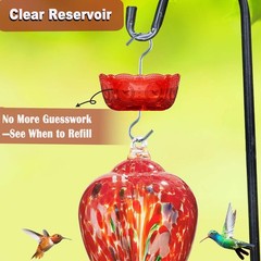 Moinmoly Ant Moat for Hummingbird Feeders 6 OZ, 4 Pack, Red Vintage Ant Guard…