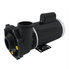 Executive 56-Frame 4HP Dual-Speed Spa Pump, 2in Intake, 2in Discharge