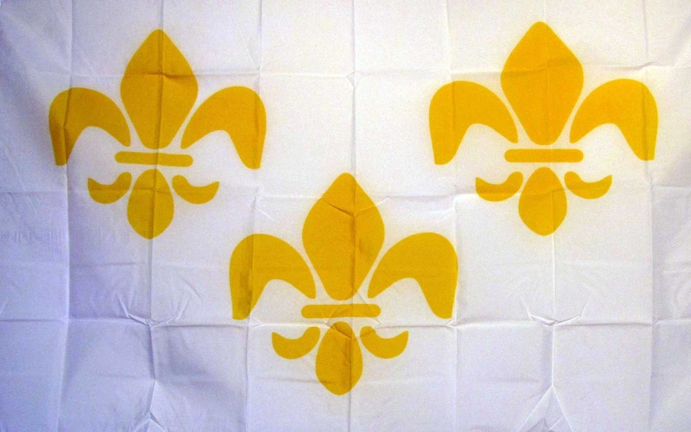 FRANCE FLEUR DE LIS 3 WHITE 3’X5′ POLY FLAG
