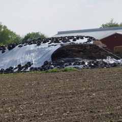 Silage Tarp 5 mil Black/White Plastic Sheeting – Choose Your Size