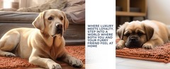 Super Absorbent Door Mat Non-Slip Microfiber Quick Dry Machine Washable Pet Rug
