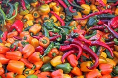 Vegetable Seed Lot $1.99 each 121 Heirloom Varieties For GARDEN/STORAGE non gmo