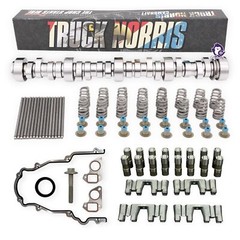 BTR TRUCK NORRIS Cam Kit with Pushrods, Delphi Lifters & Trays LS 4.8 5.3 6.0