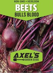 Bull’s Blood Beet Seeds | Heirloom | Non-GMO | Fresh Vegetable Seeds
