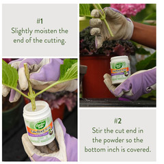2 Pack Garden Safe Takeroot Rooting Hormone, New Plants Growth Powder – 2 Oz