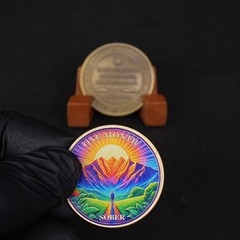 1-12 Months Sobriety Coin – AA Chip Sober Medallion and Prayer in Recovery