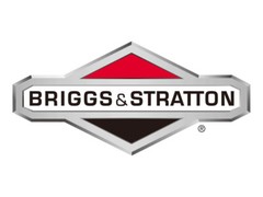 Briggs & Stratton – 84005207 – Camshaft