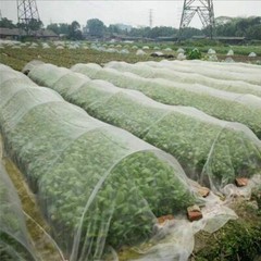 20~50ft Mosquito Garden Bug Insect Netting Barrier Bird Net Plant Protect Mesh