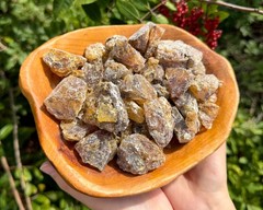 Dark Mayan Copal Granular Resin Incense: Choose Ounces or lb Bulk Wholesale Lots